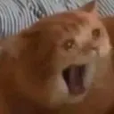 TAGINAMO