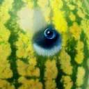 melon_eye
