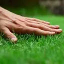 SA_TouchingGrass