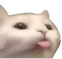 985114879973281844_1 Discord emoji