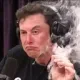 Elon
