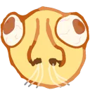 OO