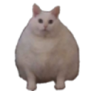 CatFat Discord emoji