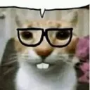 catnerdsays