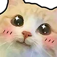 cat_blush