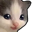 cat_wow