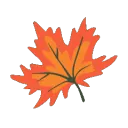 autumnleaf autumnleaf