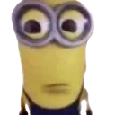minionstare minionstare