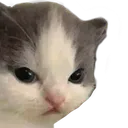 not_hehe2 Discord Emoji