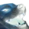 grimberk grimberk