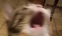 AAAHH