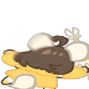 floorPOV