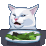 Cat Discord Emoji
