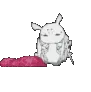 Spider_sleep