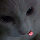 MS_Amelienwita Discord emoji