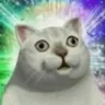 cat_wow