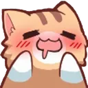 Catto catto Discord Emoji