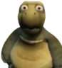 HUH_turtle HUH_turtle