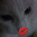 MS_AmelieDevora Discord emoji