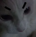 GW_Amelienojo GW_Amelienojo