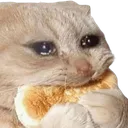 catdaukho