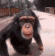 dn_monkey_kiss Discord emoji