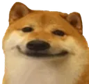 dogduh