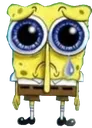 spunchbob