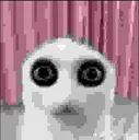 whatthehorror whatthehorror