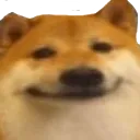 dogsmile dogsmile