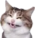 elgato elgato