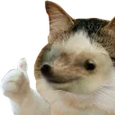 hahagud