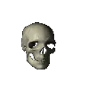 spinninskull