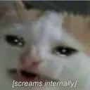 internalscreaming