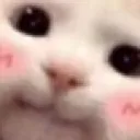 nathsgif
