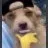 doglipbite