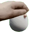 eggpet eggpet