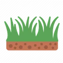 grass