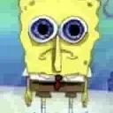 Spunchbob Spunchbob