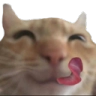 swagyum
