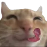 swagyum swagyum