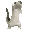 LizardPls