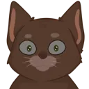 2K_momote_stare