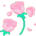 p_pinkroses