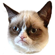 moonse10GrumpyCat Discord emoji