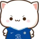angrycfc angrycfc