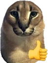 floppa Discord emoji