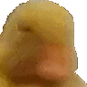 duckno Discord emoji