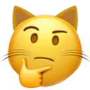 think_cat