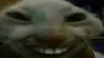 xdd xdd